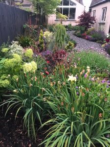 Planting & Garden Makeover - Private Residence